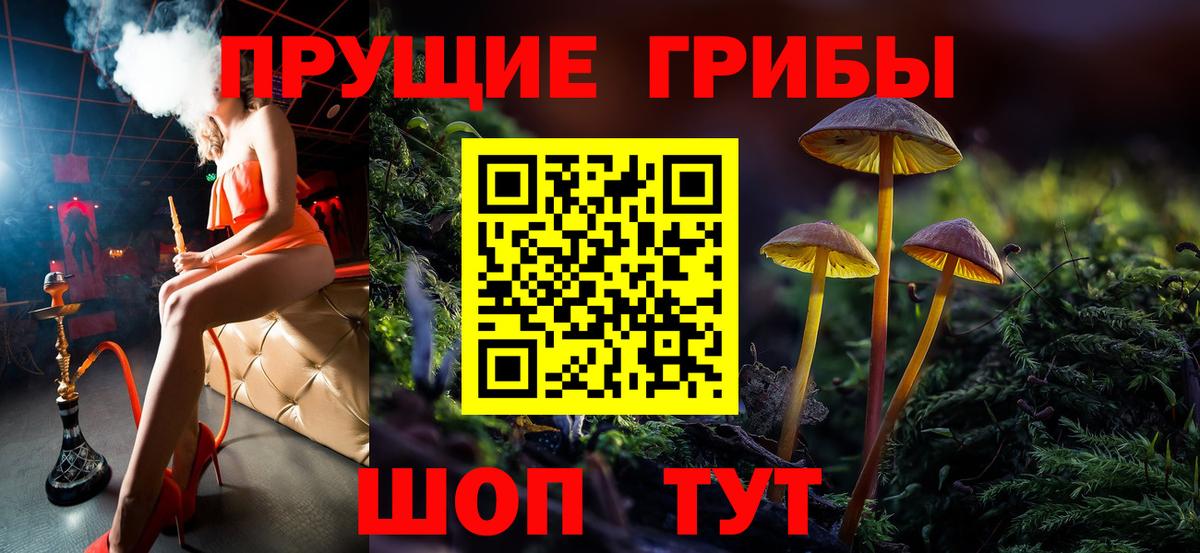 Псилоцибиновые грибы прущие грибы Алейск