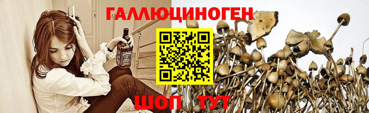Псилоцибиновые грибы Psilocybe  Вход с VPN  Галлюциногенные грибы Cubensis  Алейск 